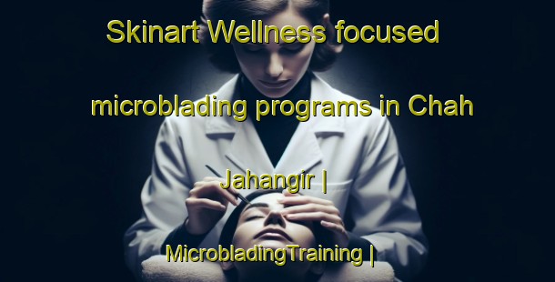 Skinart Wellness-focused microblading programs in Chah Jahangir | MicrobladingTraining | MicrobladingClasses | SkinartTraining-Pakistan